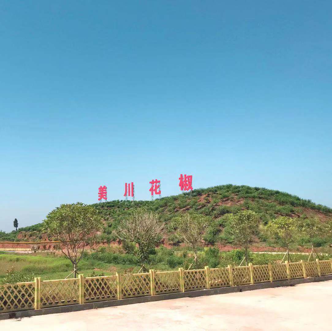 村企共創(chuàng ),建美麗宜居鄉村