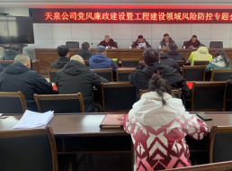 天泉公司召開(kāi)黨風(fēng)廉政建設暨工程建設領(lǐng)域風(fēng)險防控專(zhuān)題會(huì )