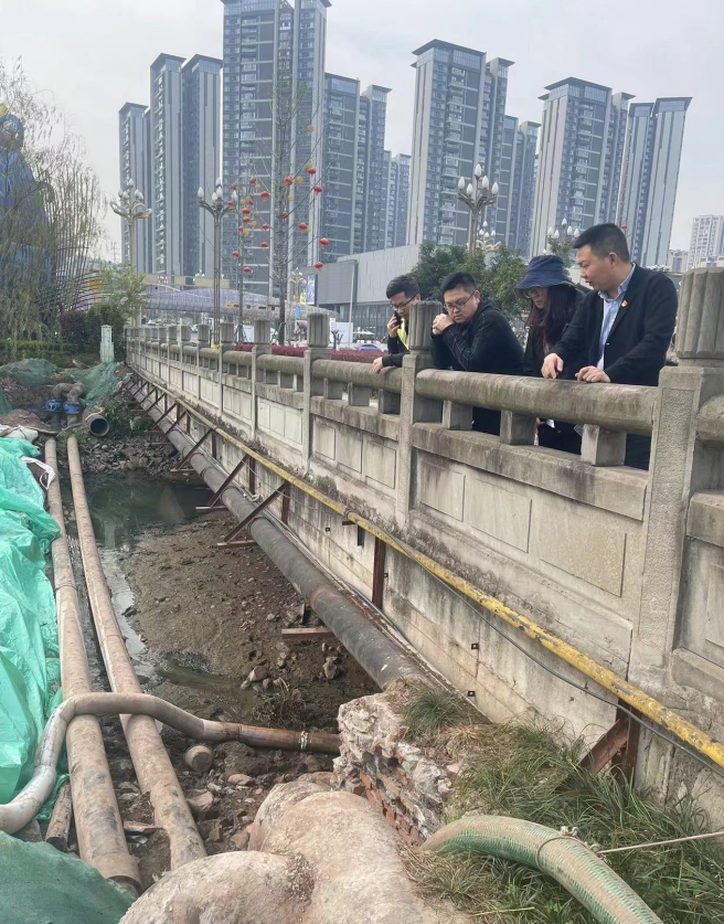 奮進(jìn)開(kāi)局  臨港長(cháng)翠路跨湖段正式貫通